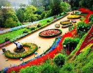 Ooty
